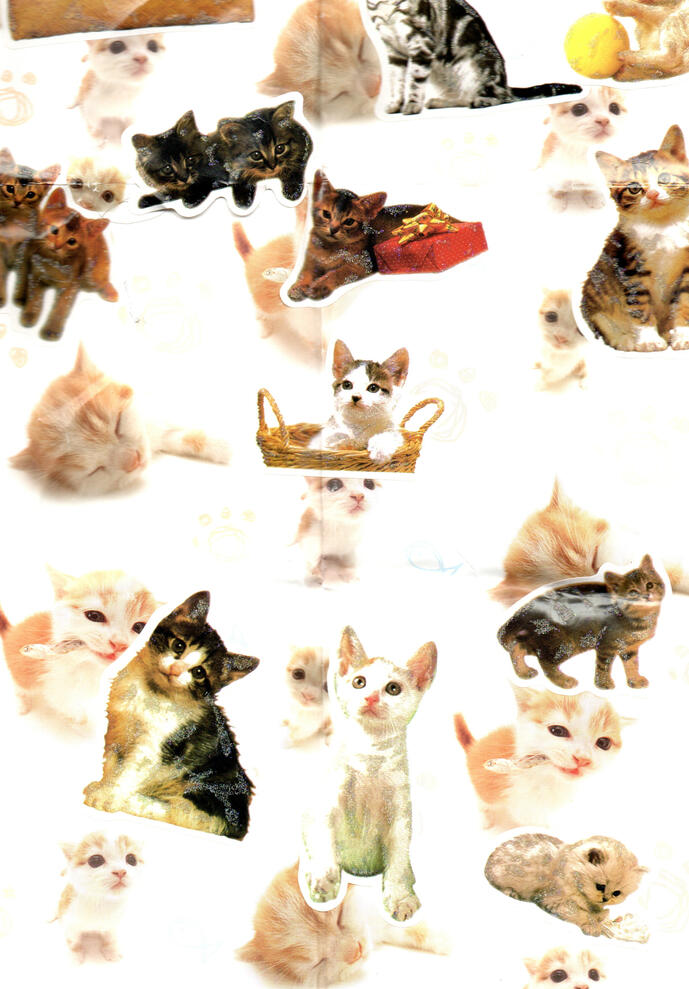 misc - wrapping paper - cats